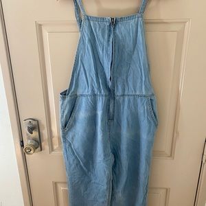 Sadie & Sage Zipper Front Light Denim Overalls
